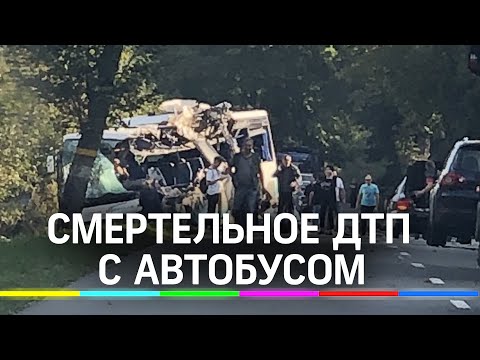Смертельное ДТП с автобусом в Калининграде - видео