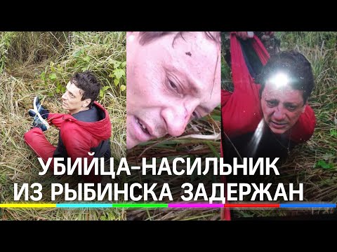Насильника, убийцу маленьких сестёр из Рыбинска схватила полиция.Он прятался в лесу.Видео задержания