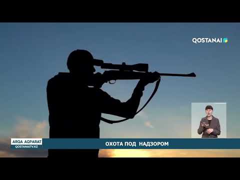 ОХОТА ПОД НАДЗОРОМ