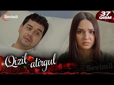Qizil atirgul 37-qism (milliy serial) | Қизил атиргул 37-қисм (миллий сериал)