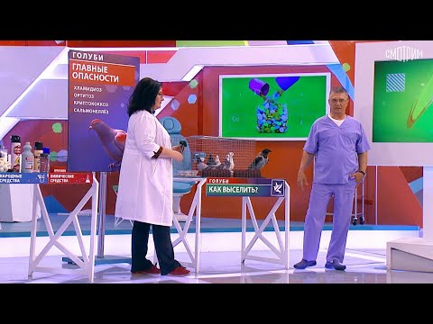 О самом главном. Выпуск от 27.10.2025