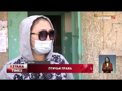 &quot;Жить невозможно&quot;: женщина разводит индюшек в квартире в Актау