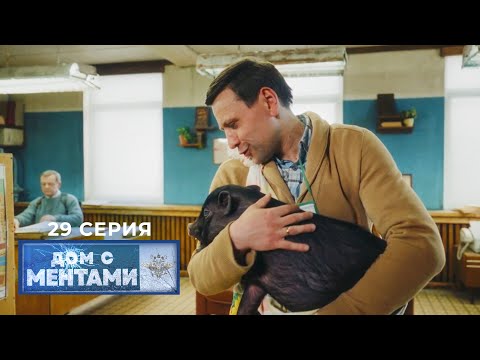 Дом с ментами | 29 серия | Свинское отношение