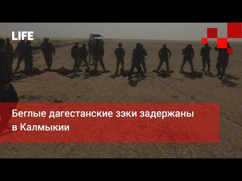 Беглые дагестанские зэки задержаны в Калмыкии