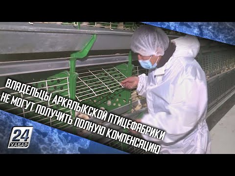 Владельцы Аркалыкской птицефабрики не могут получить полную компенсацию