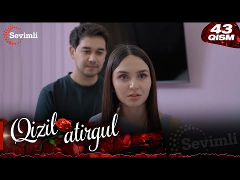 Qizil atirgul 43-qism (milliy serial) | Қизил атиргул 43-қисм (миллий сериал)