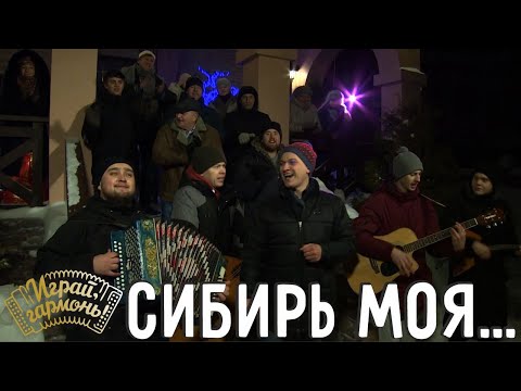 Сибирь моя... | Ансамбль «Сибиряки» (г. Новосибирск) | Играй, гармонь!