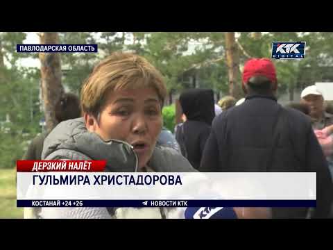 «Реальная катастрофа»: гнус заедает людей и животных в Павлодарской области