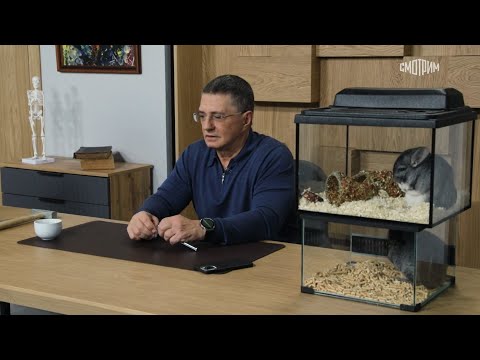 Доктор Мясников. Секреты долголетия, боль в горле, эмоциональное выгорание // Эфир от 22.02.2025