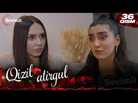 Qizil atirgul 36-qism (milliy serial) | Қизил атиргул 36-қисм (миллий сериал)