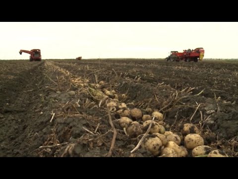Овощехранилище стоимостью ₸1,2 млрд открыли в селе Байшуак