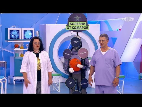О самом главном. Выпуск от 02.06.2025