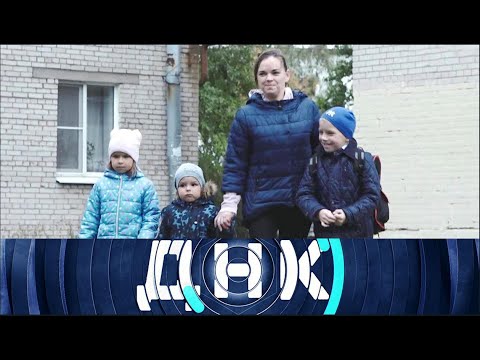 ДНК. От 16.06.2025 | 10 тестов ДНК для Маши FULL HD