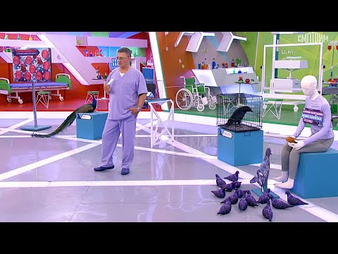 О самом главном. Выпуск от 06.06.2025