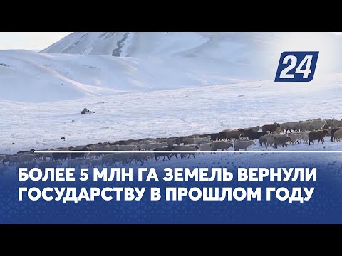 Более 5 млн га земель вернули государству в прошлом году