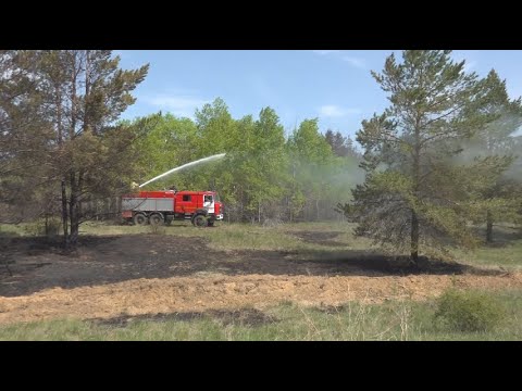 Пожар в области Абай: жители возвращаются в свои дома