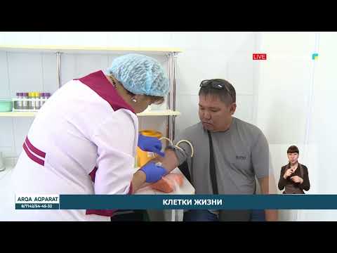 Клетки жизни