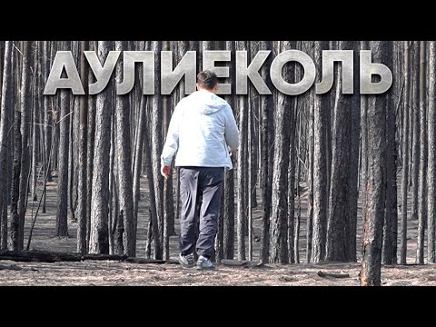 Аулиекольский район. Жизнь ДО и ПОСЛЕ пожаров.