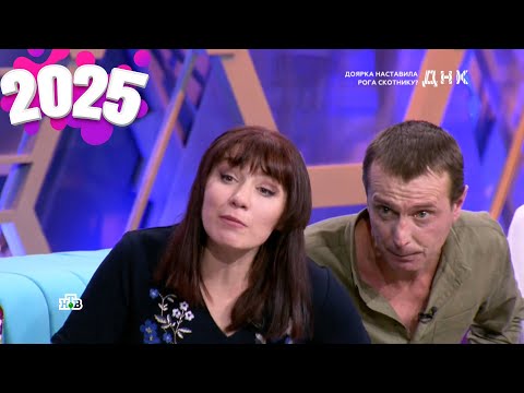 ДНК 2025 - Выпуск от 15.10.2025 . &quot;Доярка наставила рога скотнику&quot;