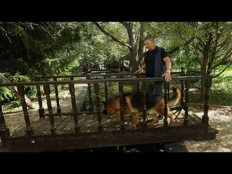 Доктор Мясников. Обезьянья оспа, лекарства от гипертонии // Эфир от 21.09.2024