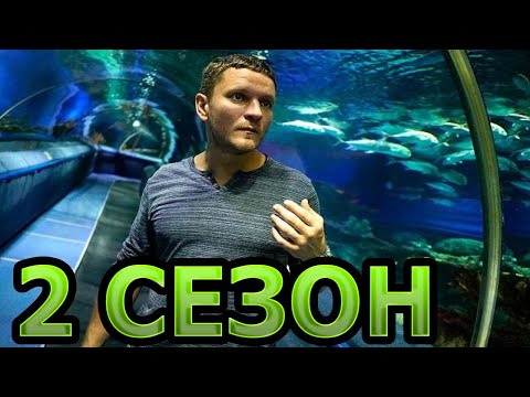 Дельфин 2 сезон 1 серия (5 серия) - Дата выхода (2021)