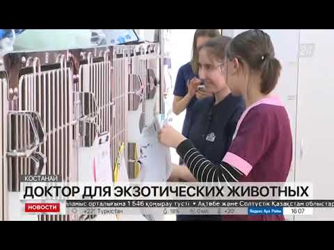 У экзотических животных Костаная появился свой доктор