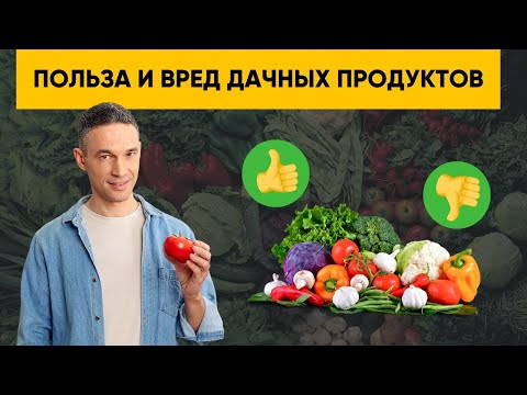 ДАЧНЫЕ ПРОДУКТЫ: ПОЛЬЗА И ВРЕД