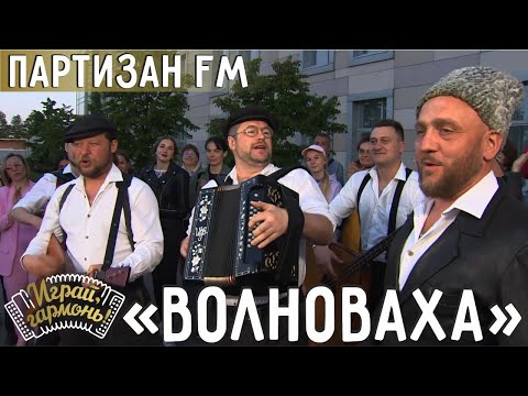 Волноваха | Группа «Партизан FM» (г. Москва) | Играй, гармонь! | @igraygarmon