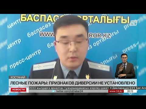 Лесные пожары: признаков диверсии не установлено