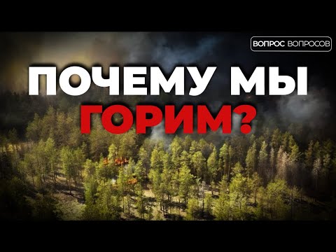 Почему Абай загорелся и как? Кто в этом виноват? Почему леса Казахстана горят каждый год?