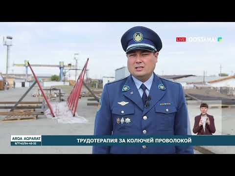 Трудотерапия за колючей проволокой