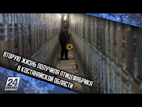 Вторую жизнь получила птицефабрика в Костанайской области