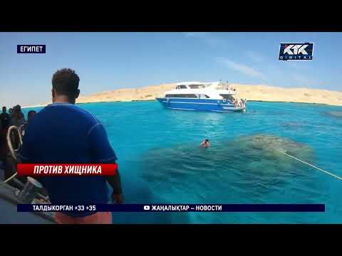 Как казахстанские туристы отреагировали на нападение акулы в Хургаде