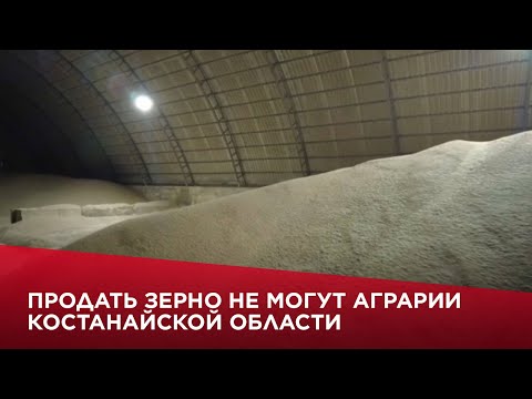 Продать зерно не могут аграрии Костанайской области