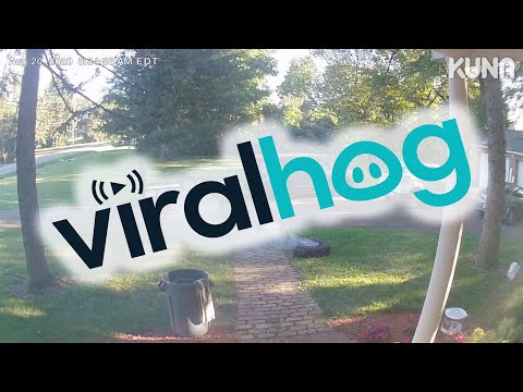 Tire Hits House at 65 mph || ViralHog