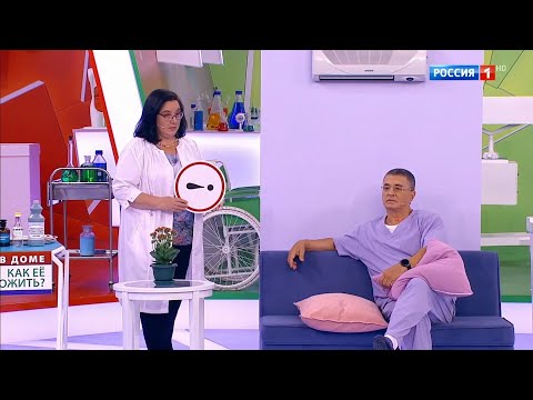 О самом главном. Новый сезон! // Выпуск от 25.08.2025
