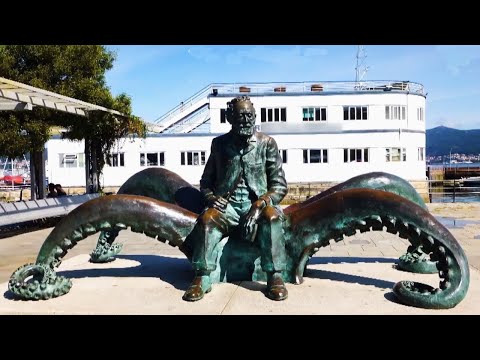 Воронеж. Часть 2. Непутевые заметки. Выпуск от 17.11.2024