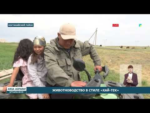 Животноводство в стиле «Хай-тек»