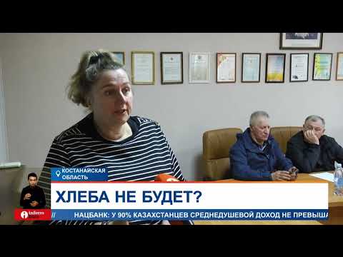 Хлеба не будет? В Костанайской области просят объявить ЧС