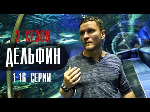 Дельфин 2 сезон 1-16 серия (2022) Детектив // Премьера НТВ // Анонс