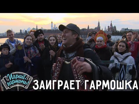 Заиграет гармошка | Игорь Шипков (г. Санкт-Петербург) | Играй, гармонь!