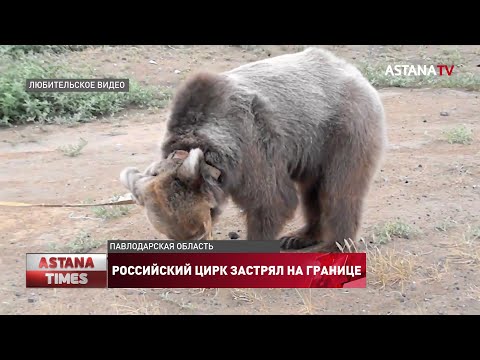 Российский цирк застрял на границе