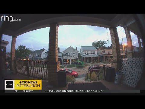 10-year-old boy drives construction equipment through streets in Brookline