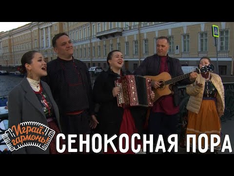 Сенокосная пора | Ансамбль @Ptashica (г. Санкт-Петербург) | Играй, гармонь!