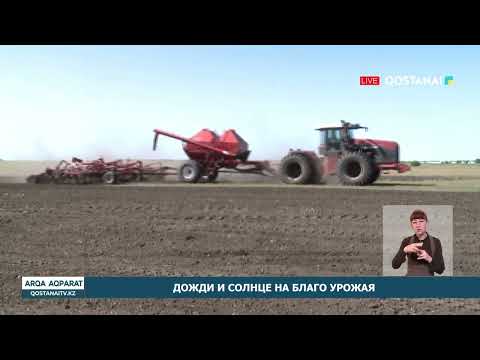 Дожди и солнце на благо урожая
