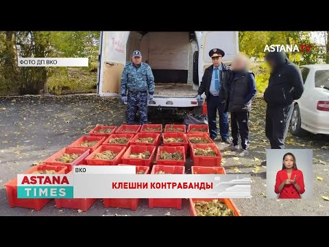 Три года тюрьмы грозит жителю ВКО за контрабанду живых раков