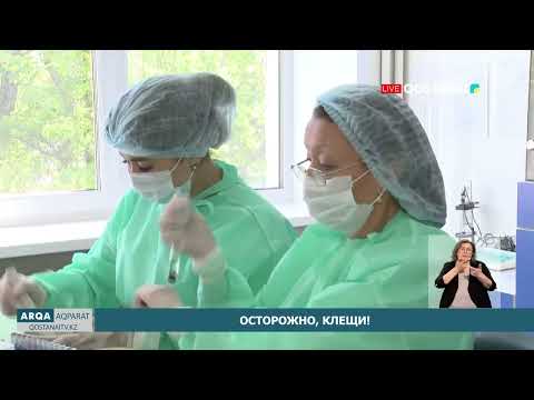 Осторожно, клещи!