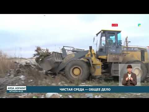 Чистая среда — общее дело