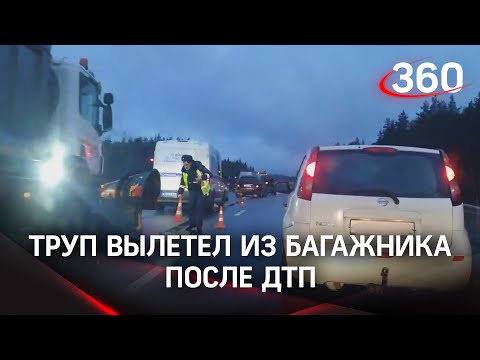 Труп из багажника вылетел во время ДТП на трассе под Петербургом