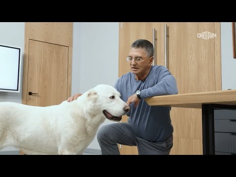 Доктор Мясников. Эфир от 08.11.2025